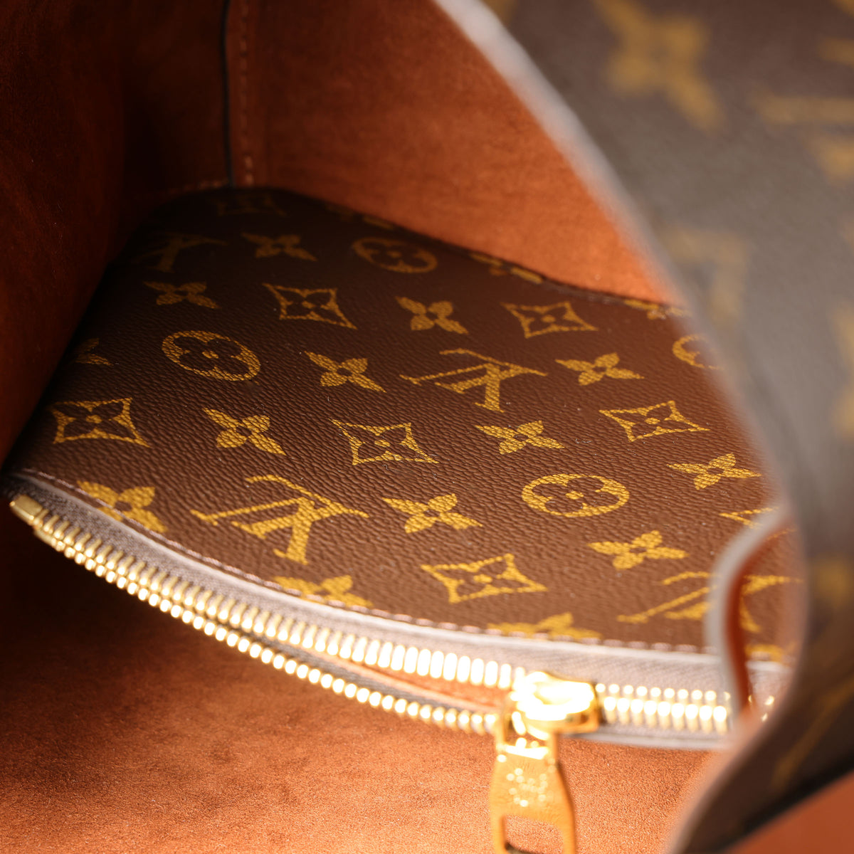 Preowned LOUIS VUITTON NeoNoe MM Monogram Canvas & Leather Brown | Luxe Again Maison
